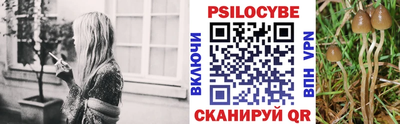 цена наркотик  Ярославль  Псилоцибиновые грибы мицелий 